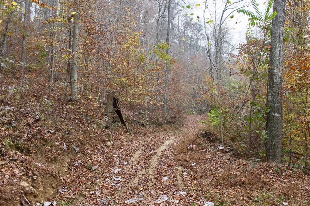 Autumn Ridge Tract 17 - Main image