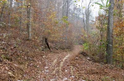 Autumn Ridge Tract 17