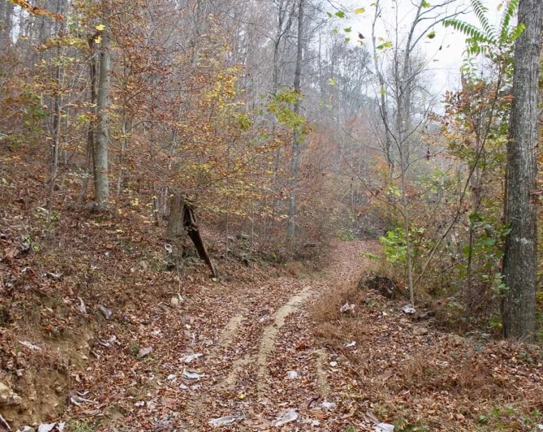 Autumn Ridge Tract 17 in Leslie County, KY