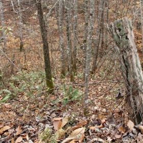 Autumn Ridge Tract 17 in Leslie County, KY