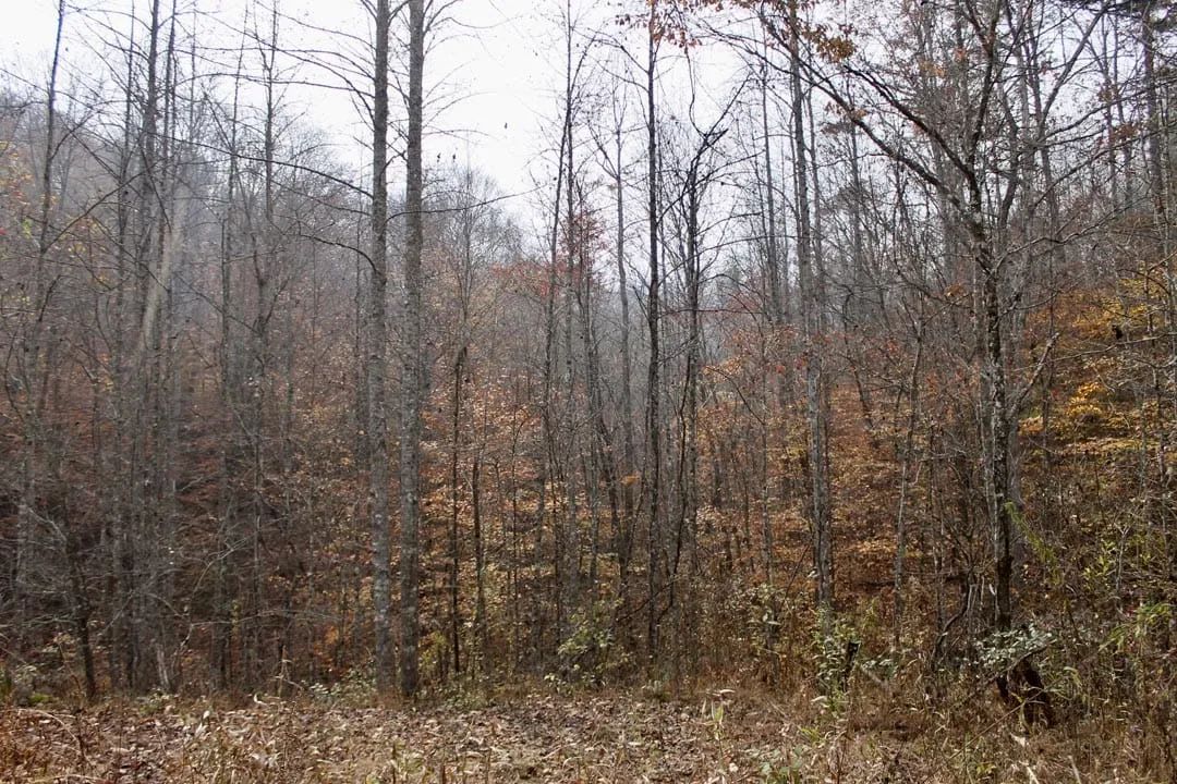 Autumn Ridge Tract 17 - Image 4