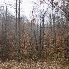 Autumn Ridge Tract 17 in Leslie County, KY