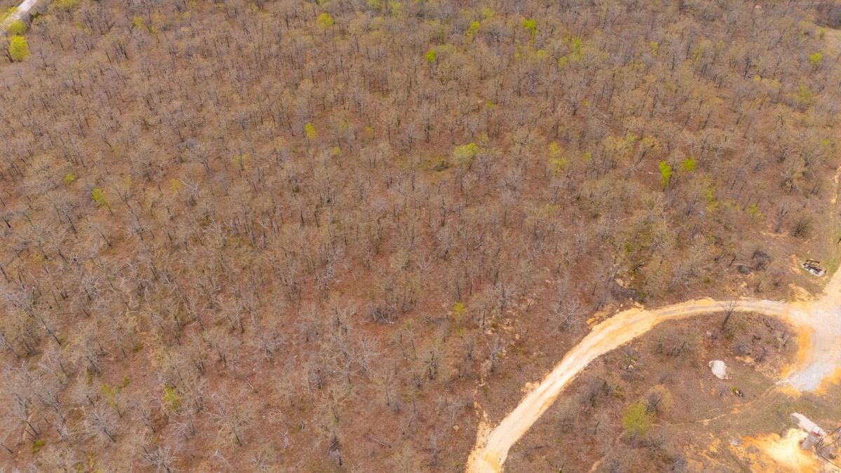 JLH Estates Tract 11 - Main image