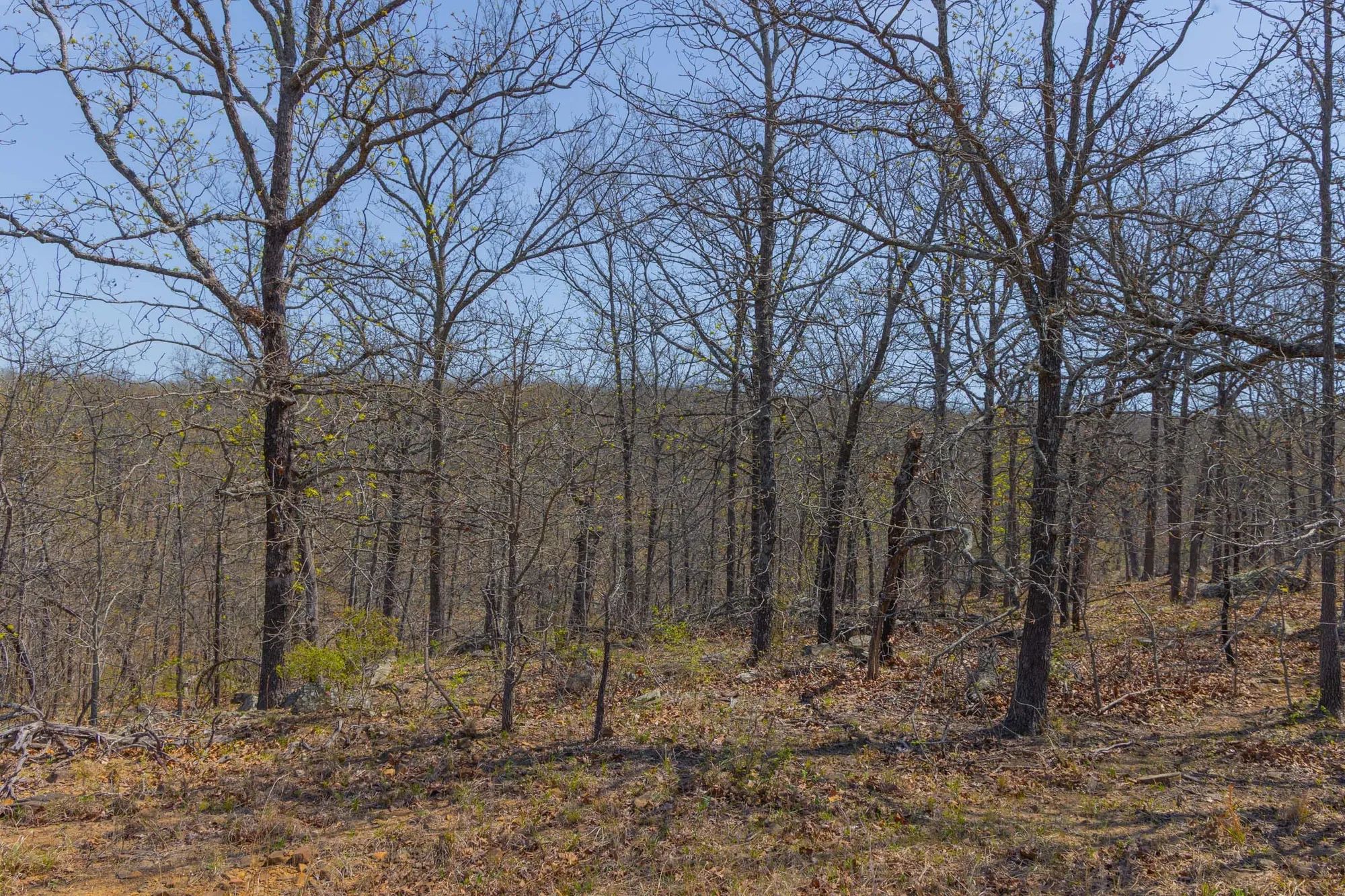 JLH Estates Tract 11 in Okfuskee County, OK