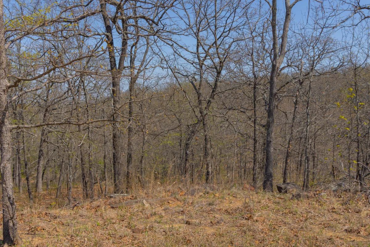 Decorative background for JLH Estates Tract 11 image 5
