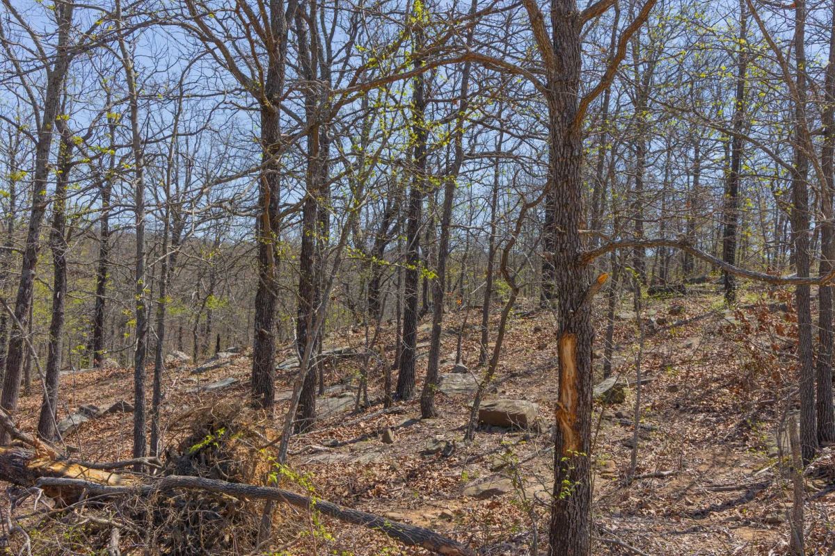 Decorative background for JLH Estates Tract 11 image 9