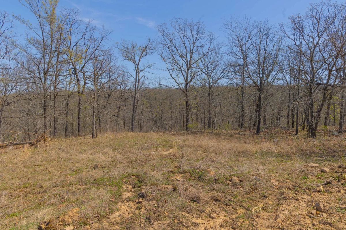 Decorative background for JLH Estates Tract 11 image 11