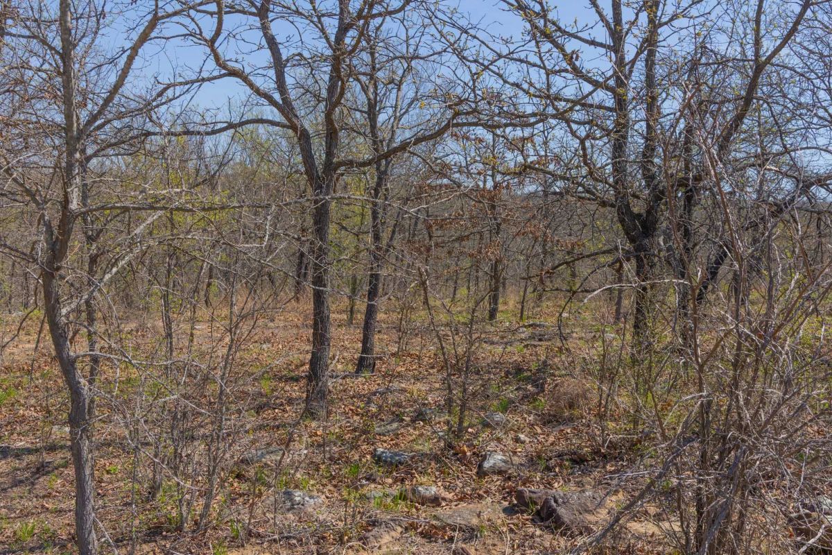 Decorative background for JLH Estates Tract 11 image 12