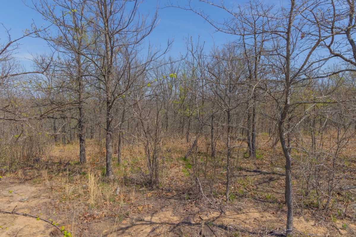Decorative background for JLH Estates Tract 11 image 13