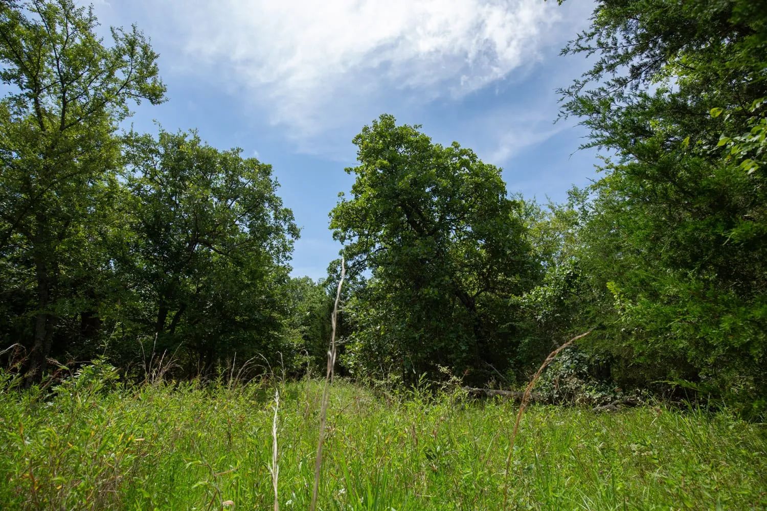 Timber Ridge Tract 43 in McIntosh County, OK
