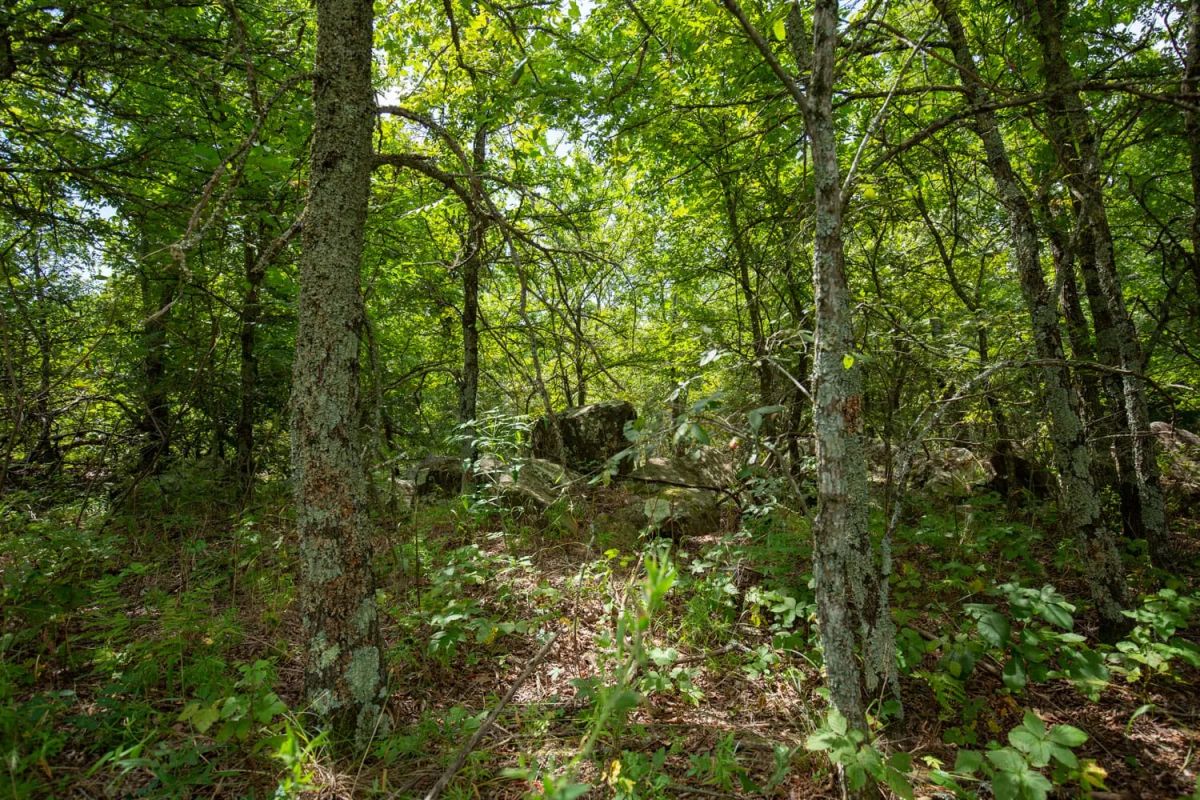Timber Ridge Tract 43 - Image 2