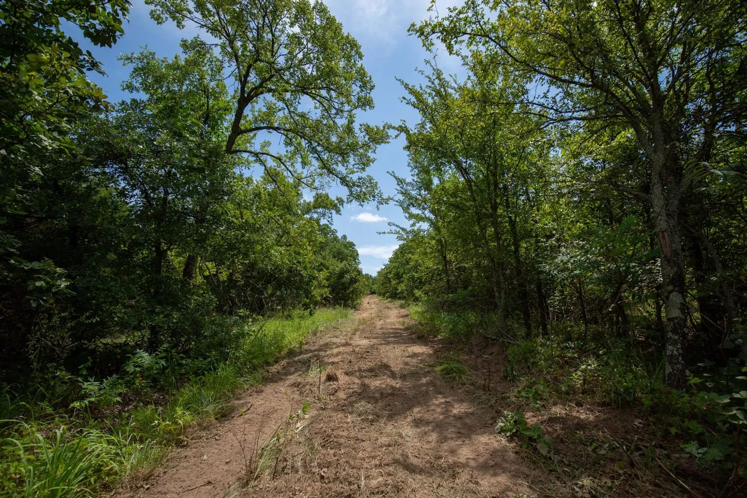 Timber Ridge Tract 43 in McIntosh County, OK