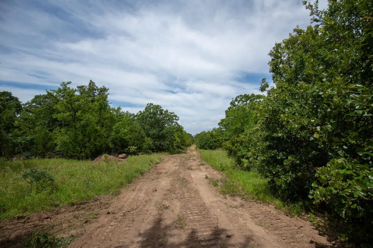 Decorative background for Timber Ridge Tract 43 image 5