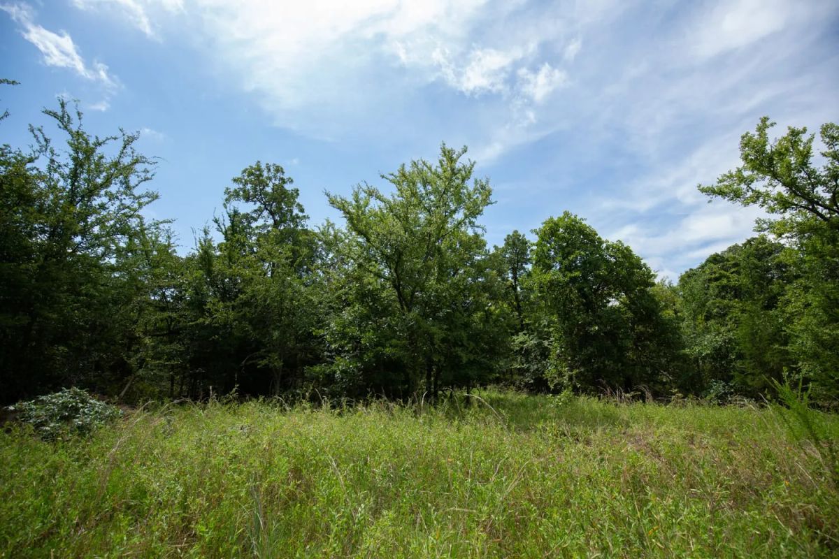 Decorative background for Timber Ridge Tract 43 image 6