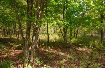 Wagon Wheel Ranch Tract 50