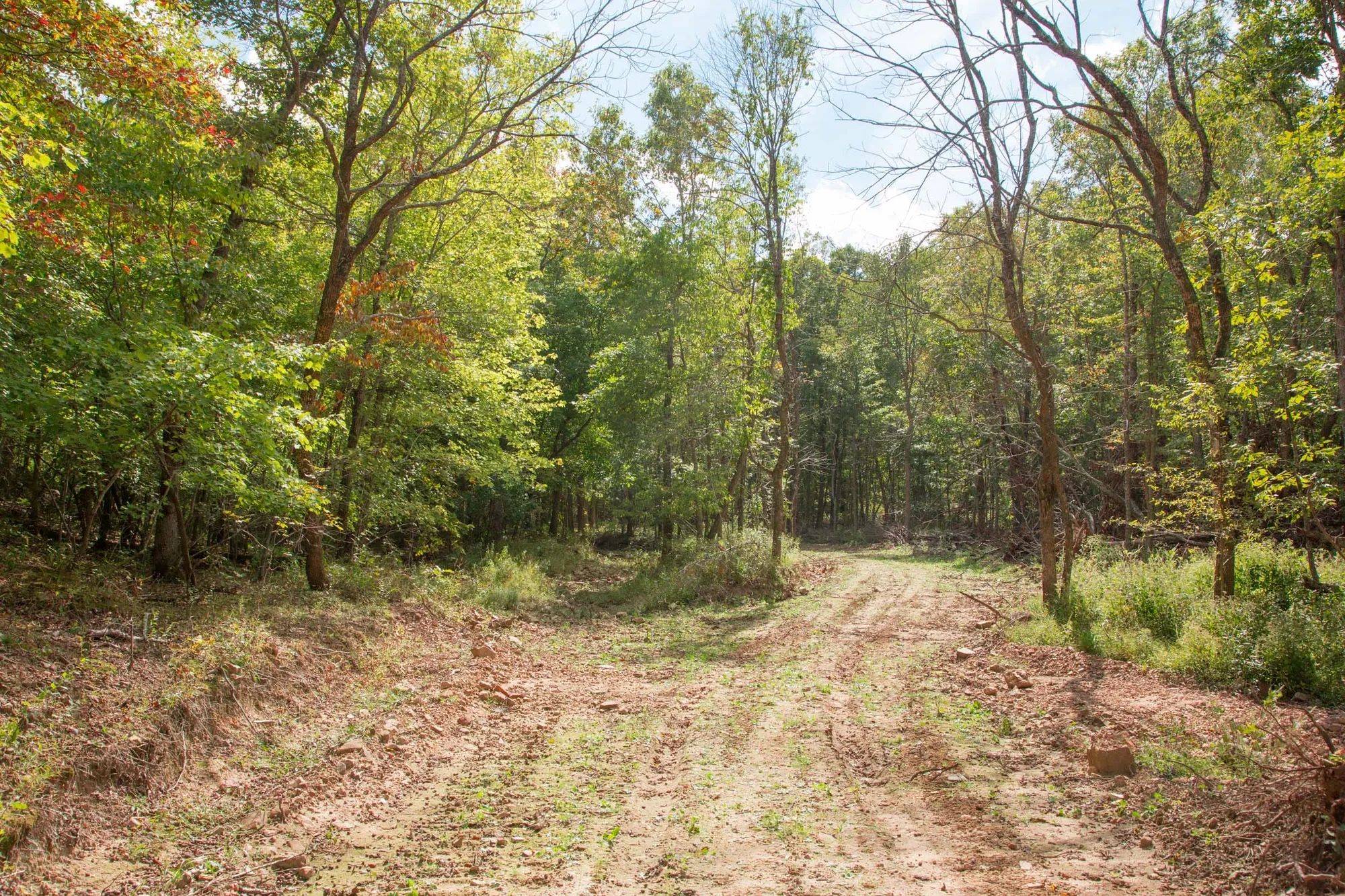 Wagon Wheel Ranch Tract 50 in Dent County, MO