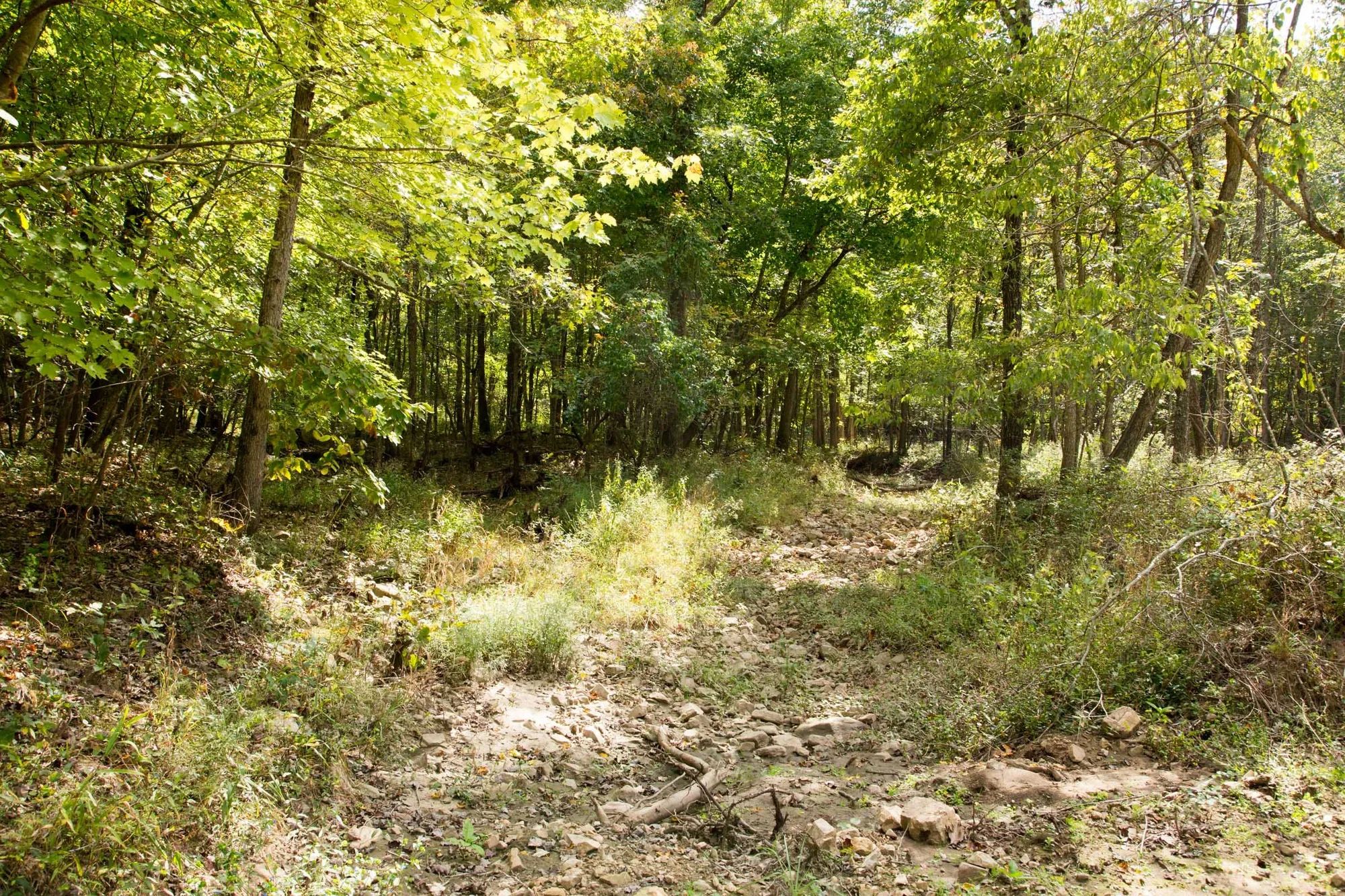 Wagon Wheel Ranch Tract 50 in Dent County, MO