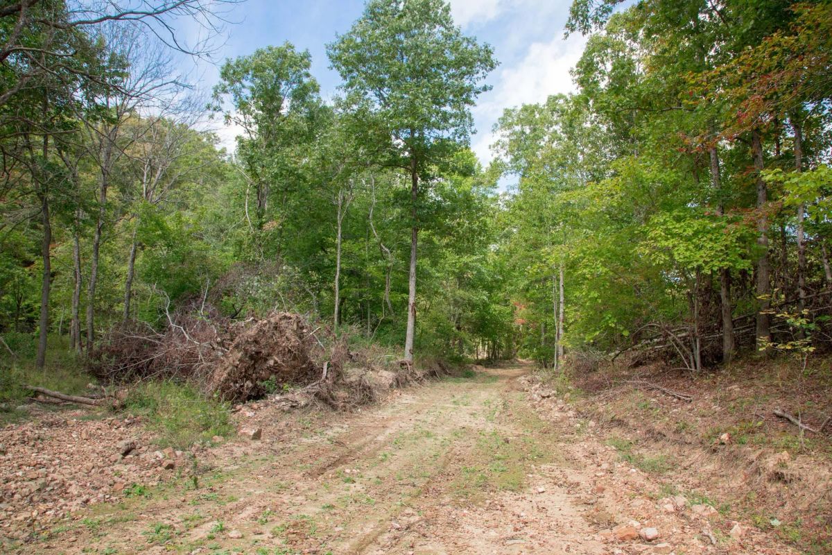 Decorative background for Wagon Wheel Ranch Tract 50 image 5
