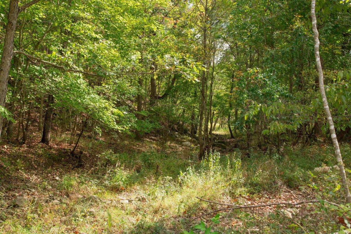 Decorative background for Wagon Wheel Ranch Tract 50 image 6