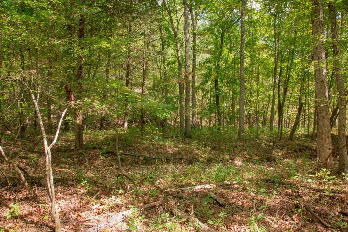 Decorative background for Wagon Wheel Ranch Tract 50 image 7