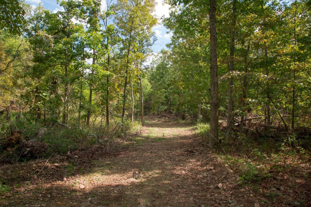 Decorative background for Wagon Wheel Ranch Tract 50 image 9