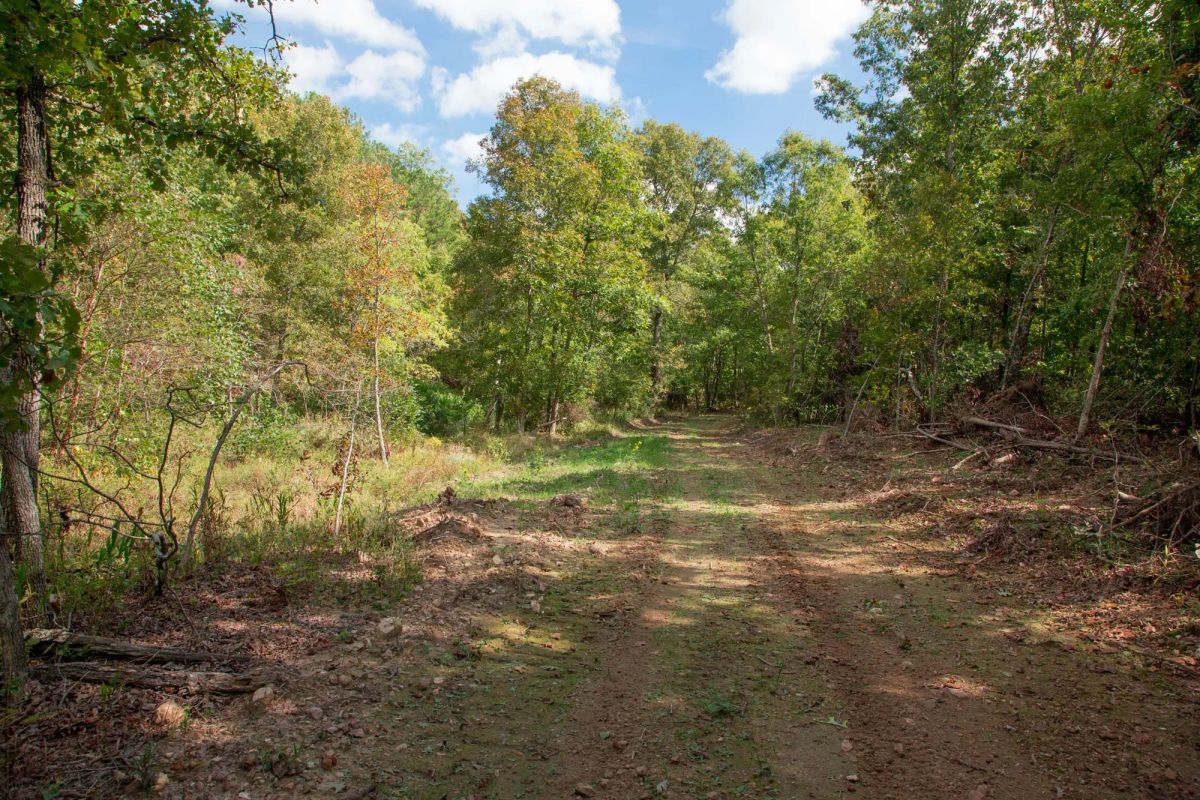 Decorative background for Wagon Wheel Ranch Tract 50 image 11