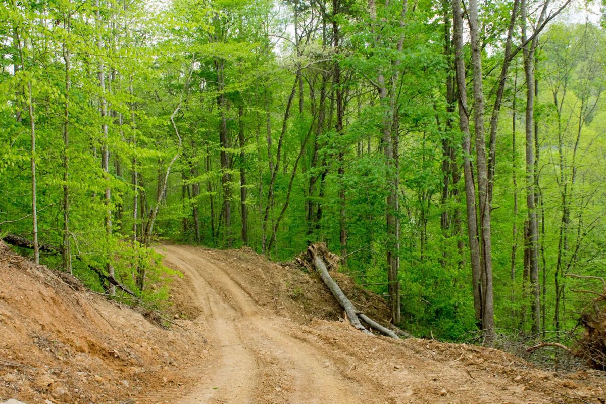 Trails End Tract 22 - Main image