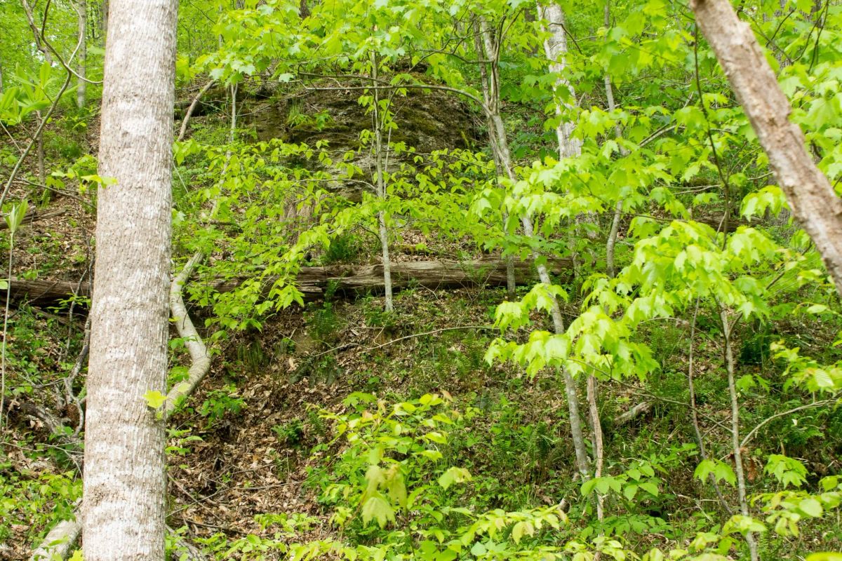 Decorative background for Trails End Tract 22 image 12