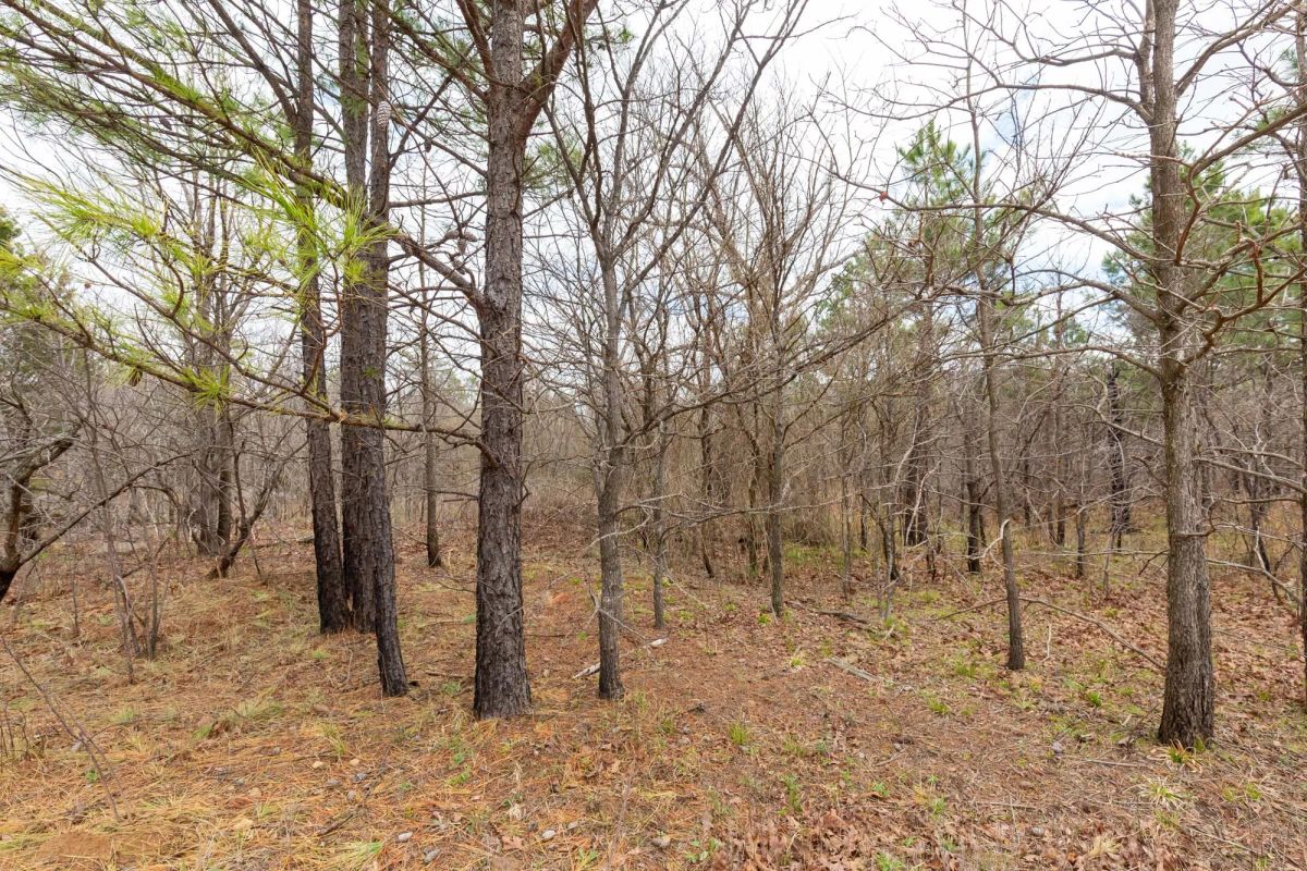 Stone Bridge Phase III Tract 211 - Image 2