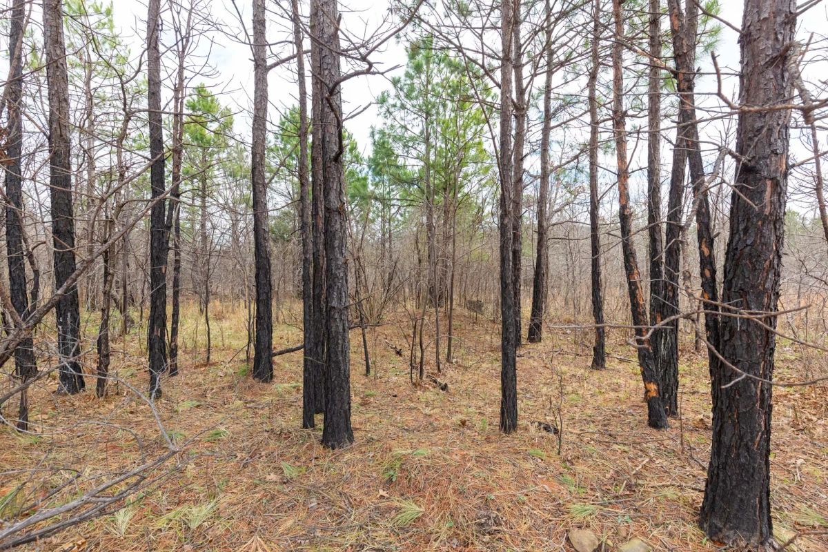 Stone Bridge Phase III Tract 211 - Image 3