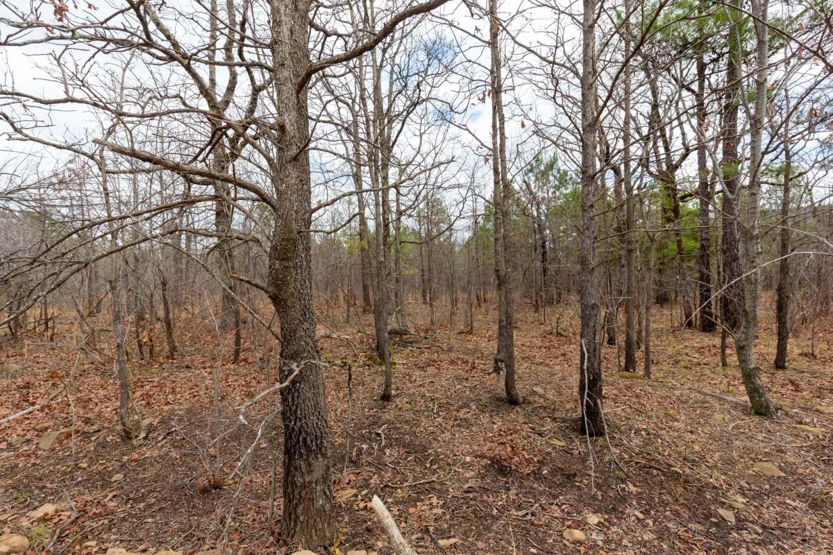 Stone Bridge Phase III Tract 211 - Image 4