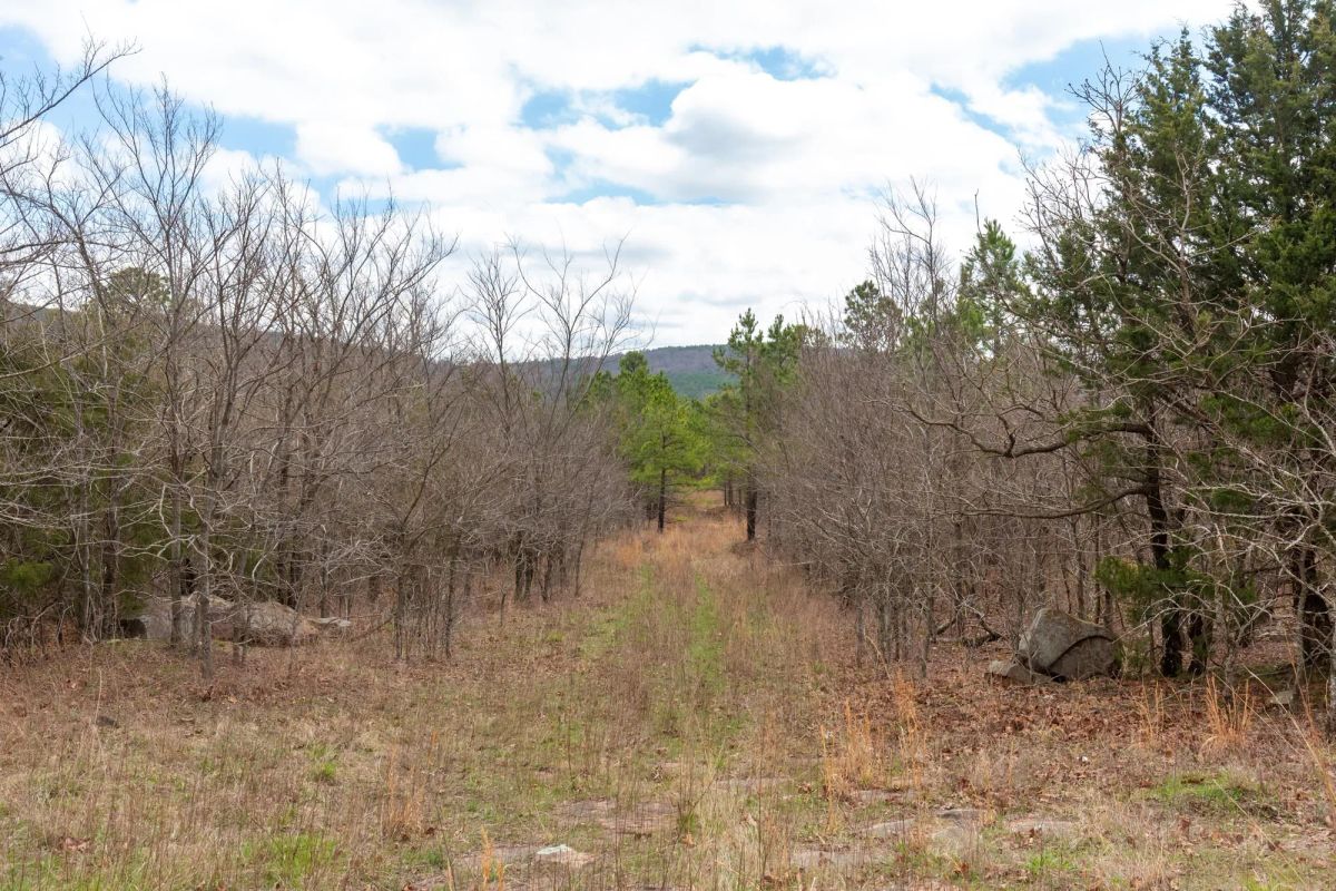 Decorative background for Stone Bridge Phase III Tract 211 image 5