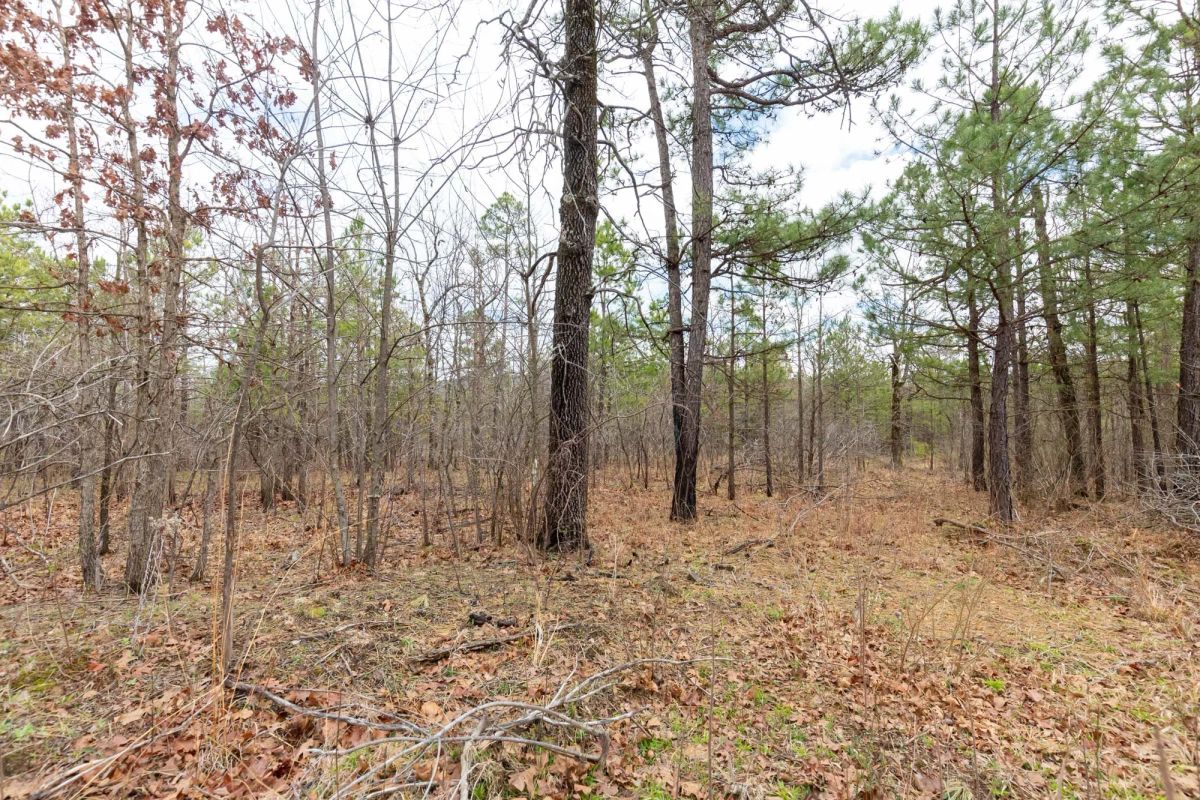 Decorative background for Stone Bridge Phase III Tract 211 image 6