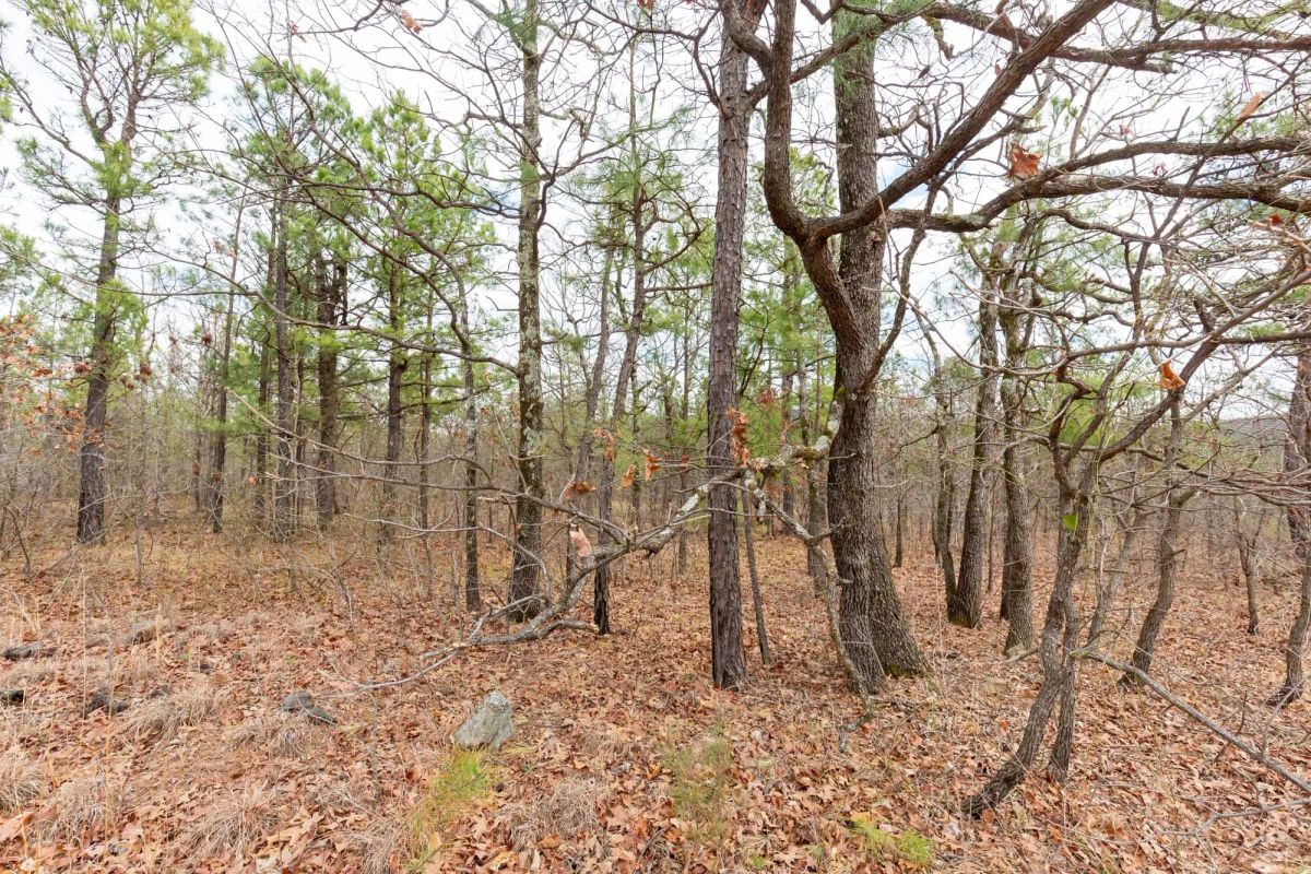 Decorative background for Stone Bridge Phase III Tract 211 image 7