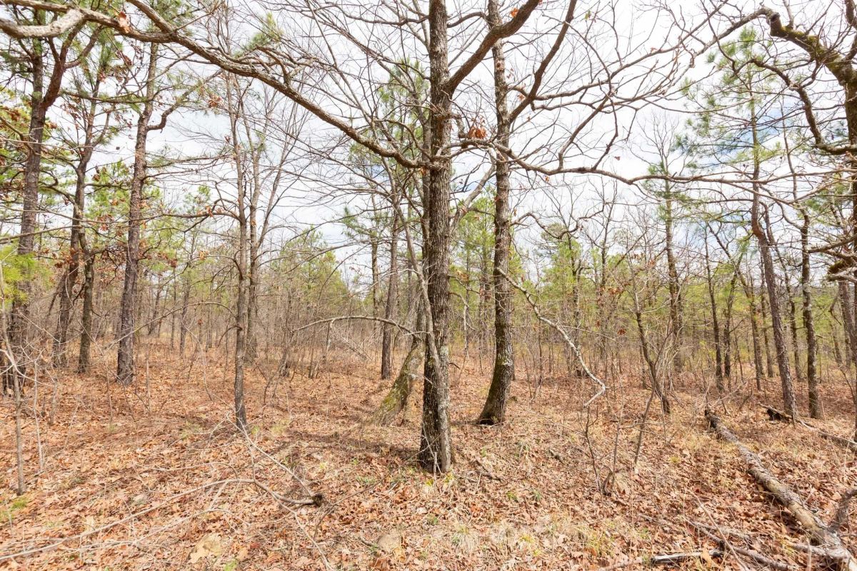 Decorative background for Stone Bridge Phase III Tract 211 image 8