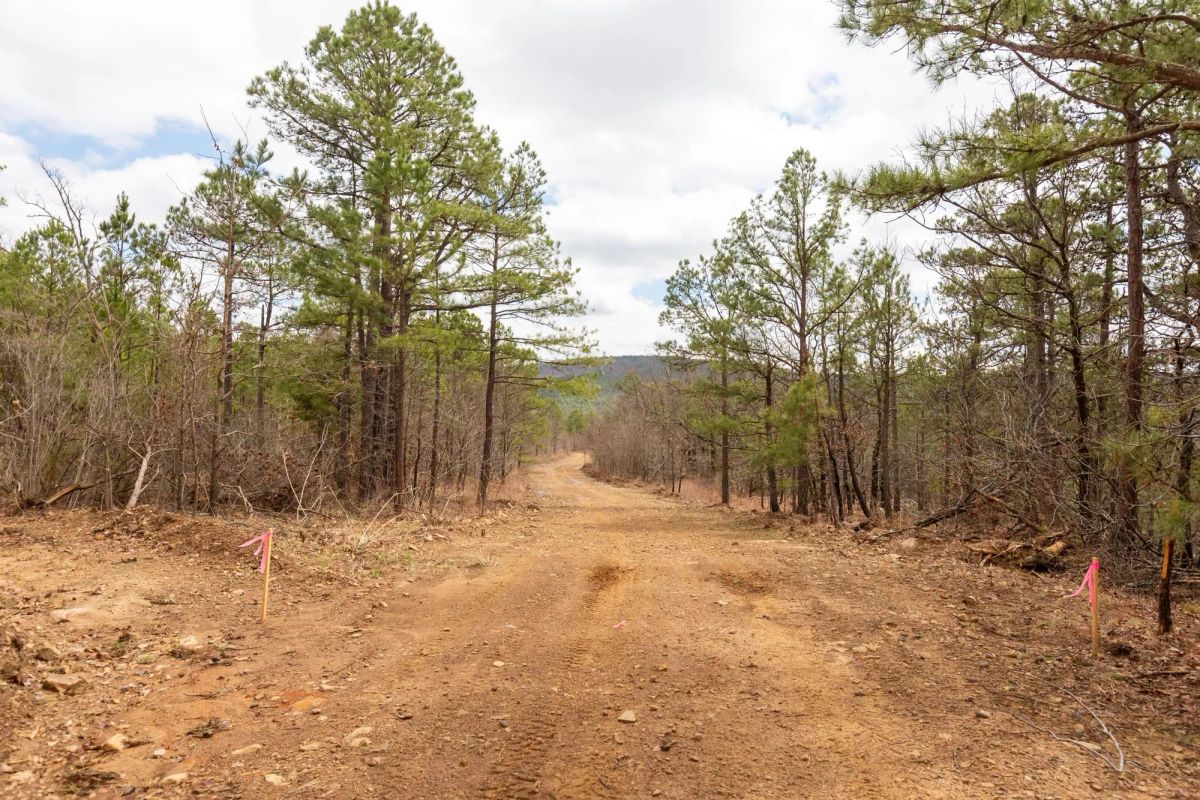 Decorative background for Stone Bridge Phase III Tract 211 image 9