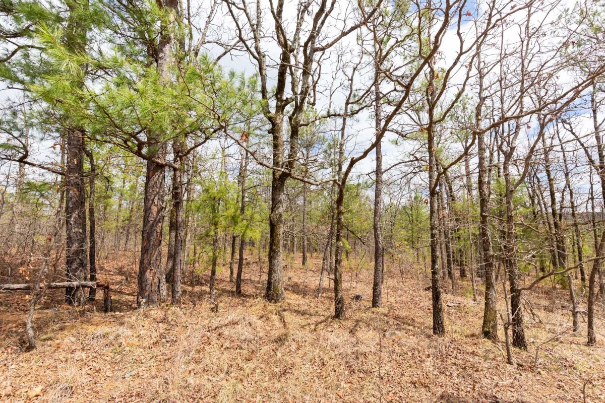 Decorative background for Stone Bridge Phase III Tract 211 image 11
