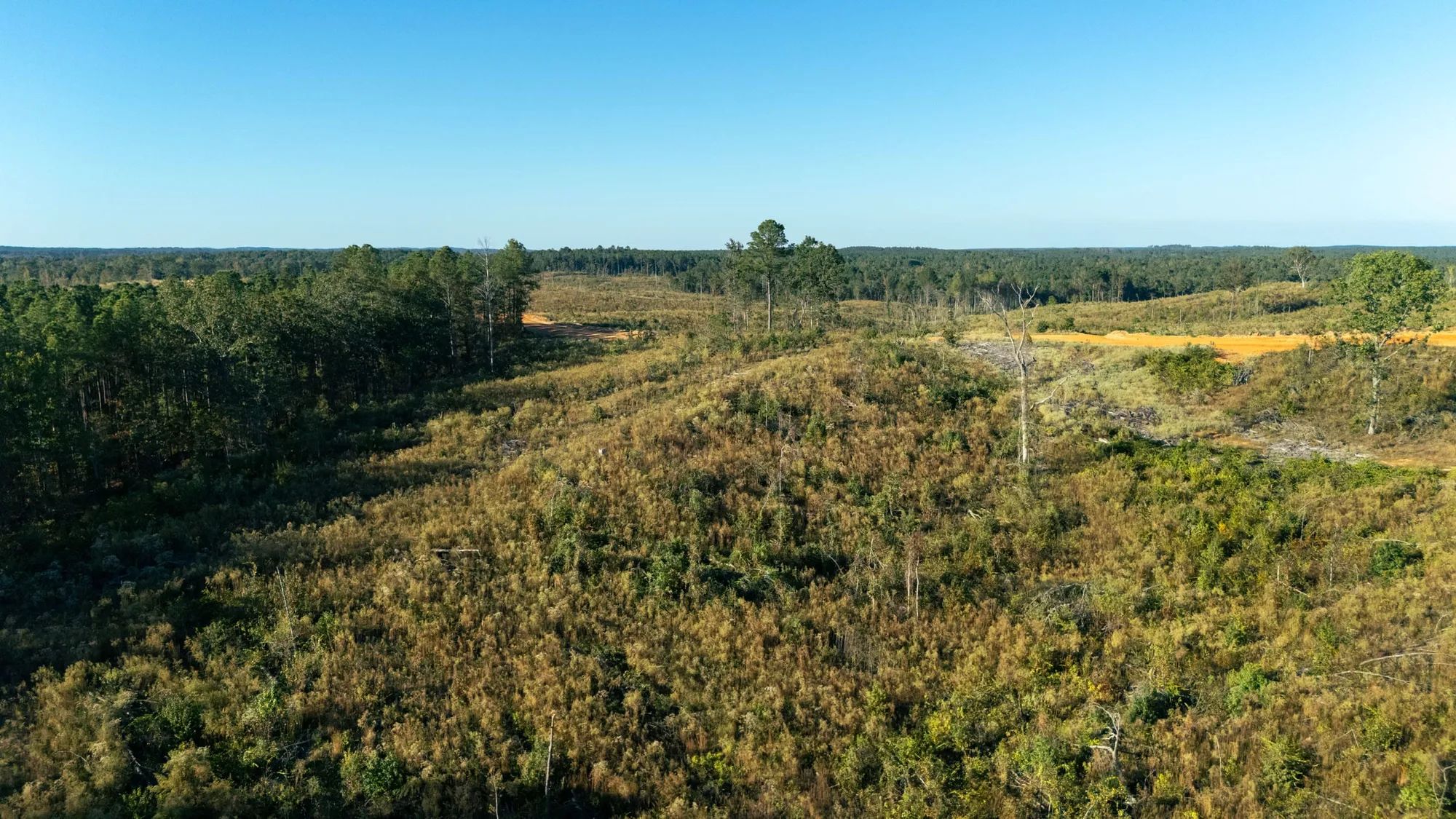 Meyer’s Ridge Tract 44
