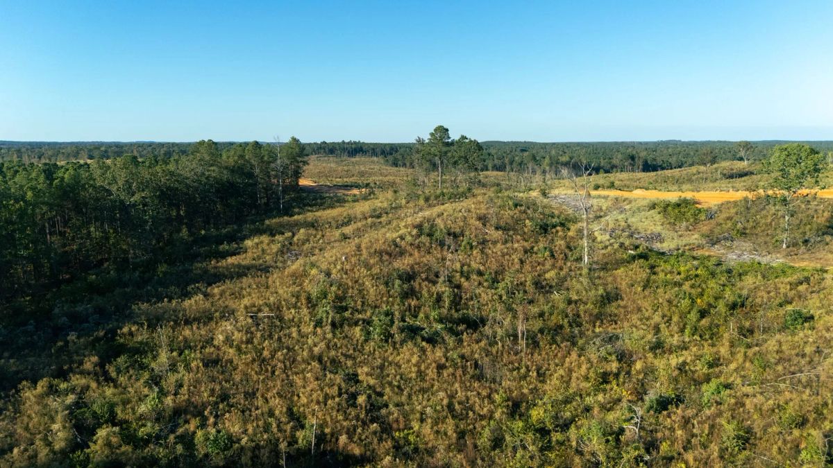 Meyer’s Ridge Tract 44 - Main image