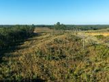 Meyer’s Ridge Tract 44