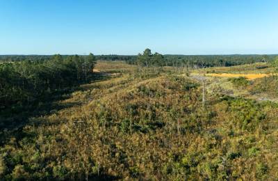 Meyer’s Ridge Tract 44