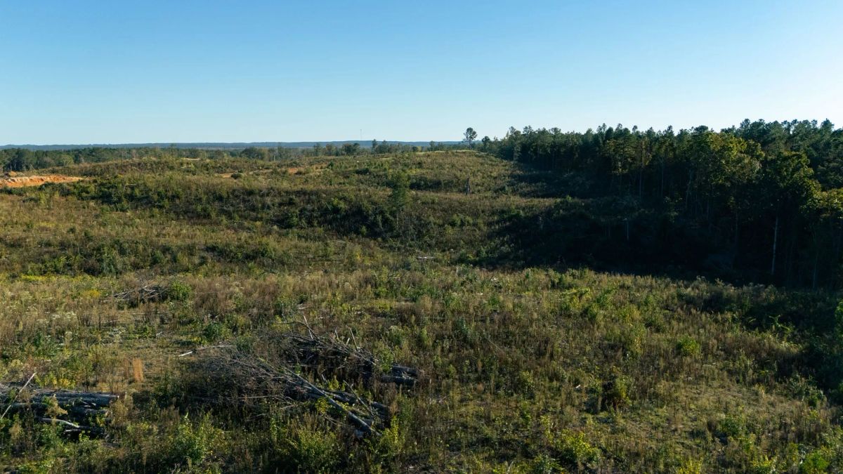 Decorative background for Meyer’s Ridge Tract 44 image 5