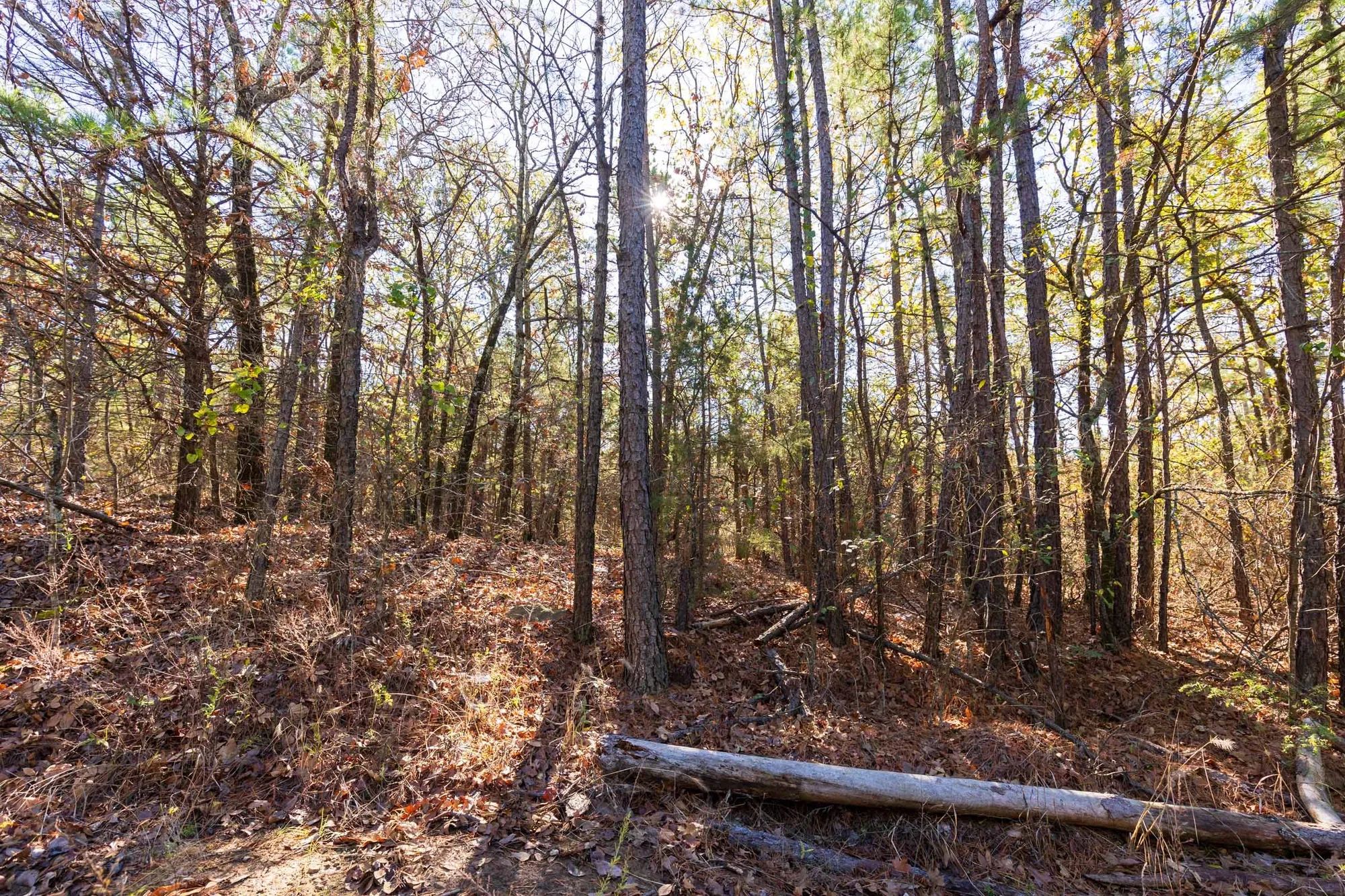 Stone Bridge Reserve Tract 5 in Haskell County, OK