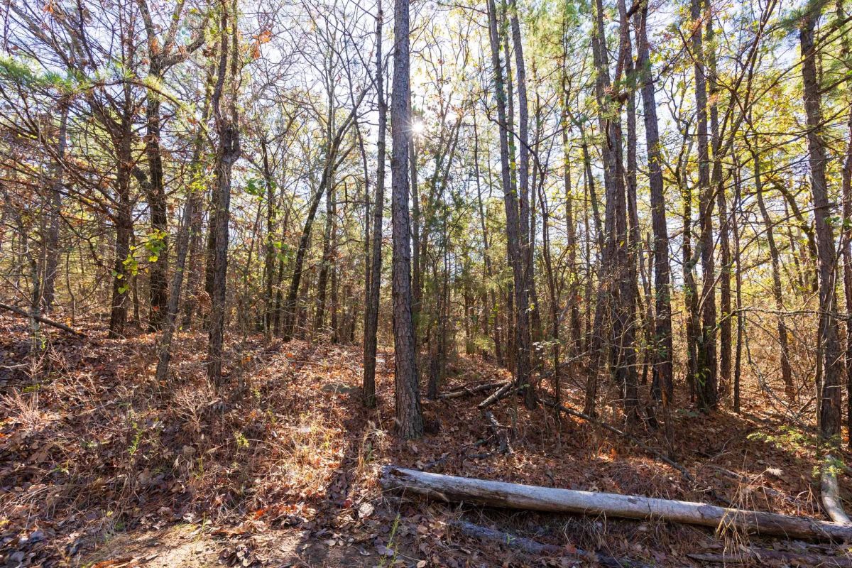 Stone Bridge Reserve Tract 5 - Image 2