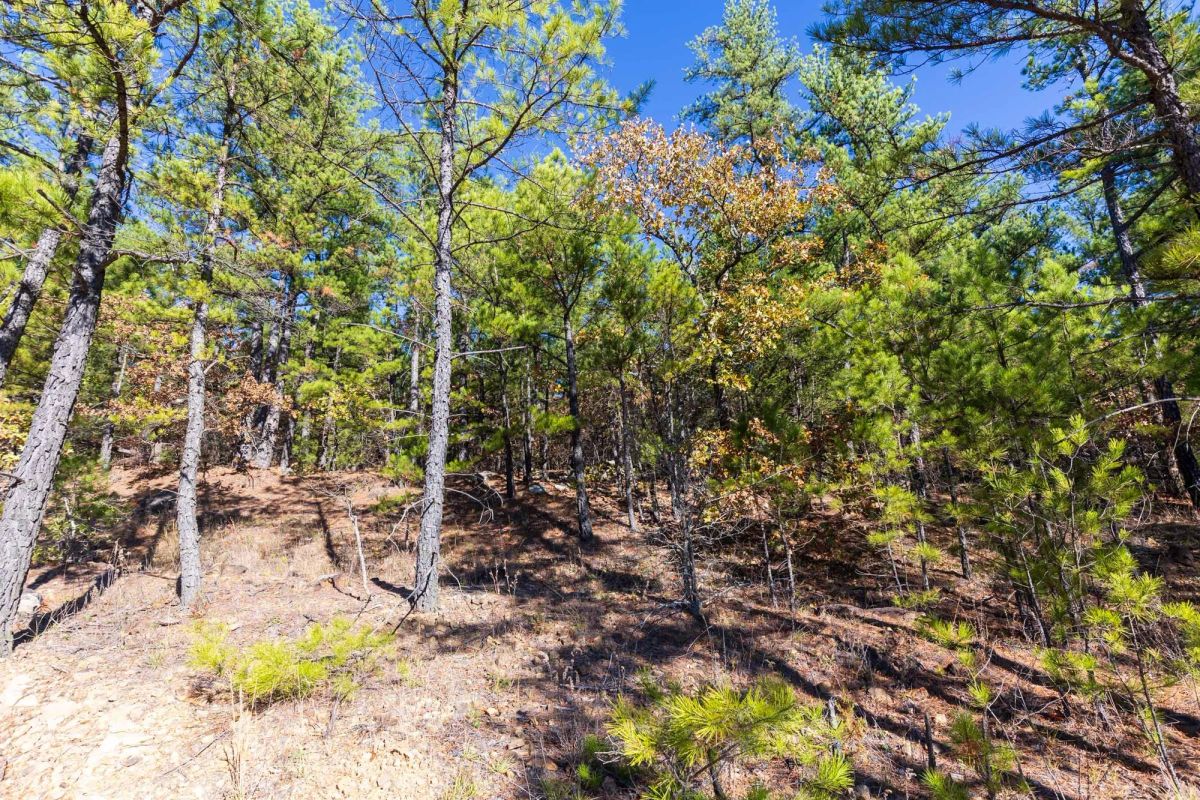 Stone Bridge Reserve Tract 5 - Image 3
