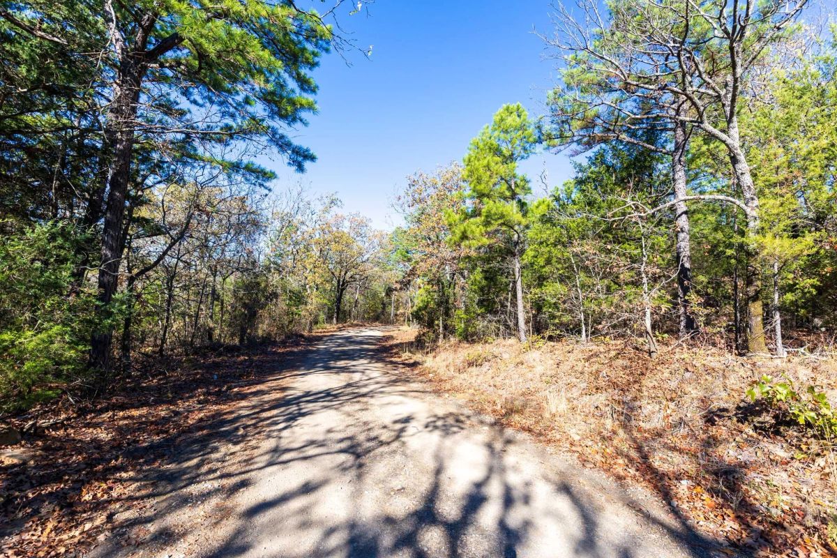 Decorative background for Stone Bridge Reserve Tract 5 image 6