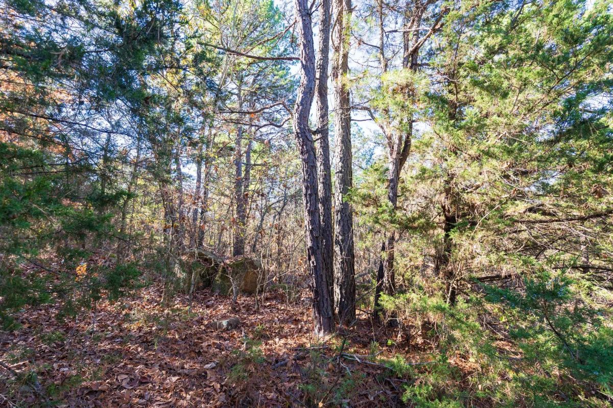 Decorative background for Stone Bridge Reserve Tract 5 image 7