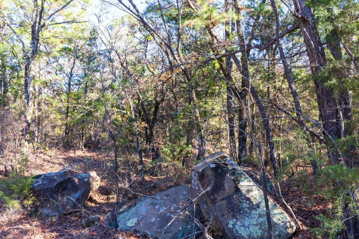 Decorative background for Stone Bridge Reserve Tract 5 image 8
