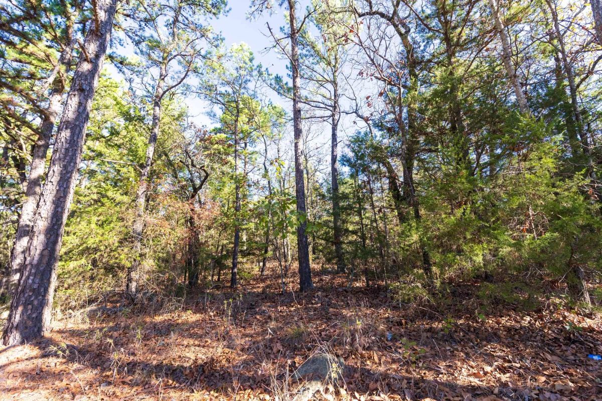 Decorative background for Stone Bridge Reserve Tract 5 image 9