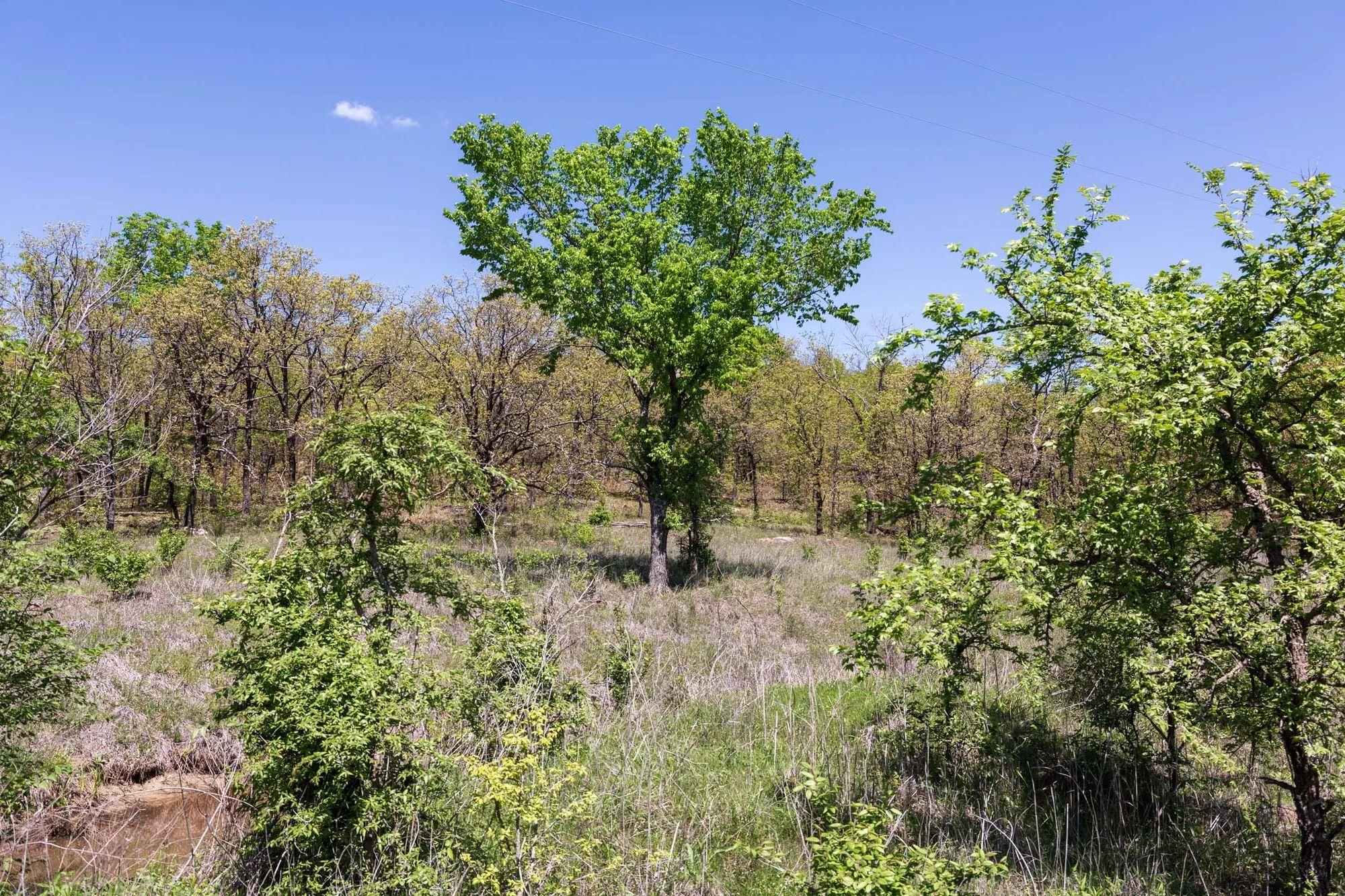 Allie’s Acres Tract 2 in Pittsburg County, OK